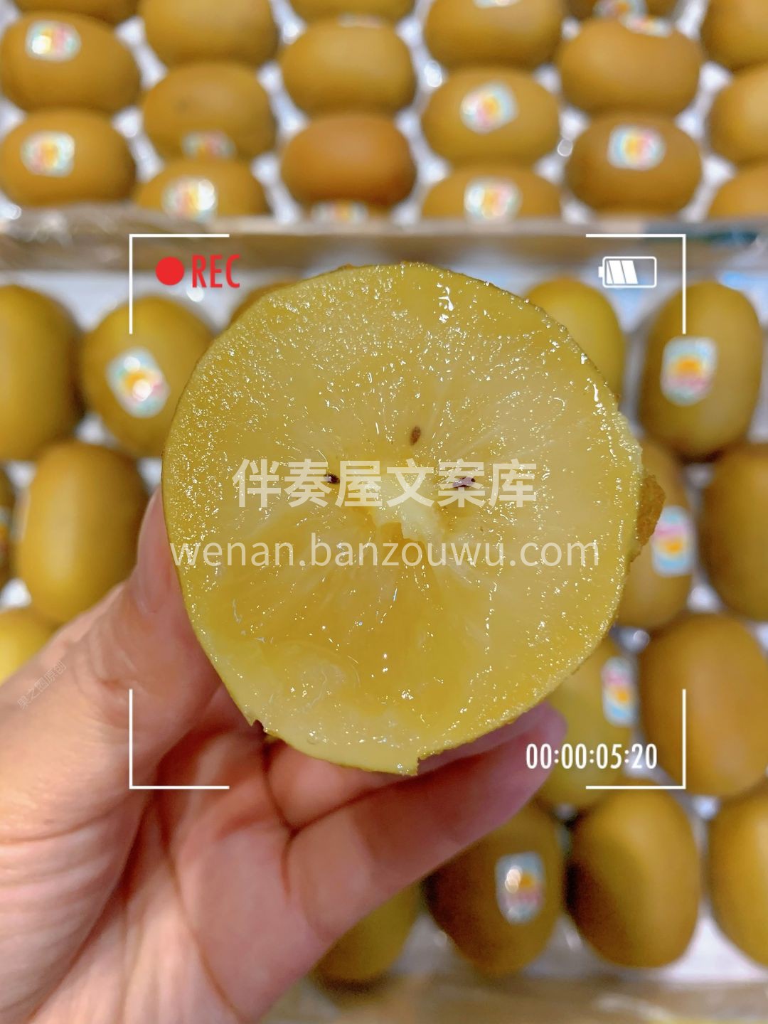 🥝《新西兰佳沛金果》〰️水果中的营养大百 配图2