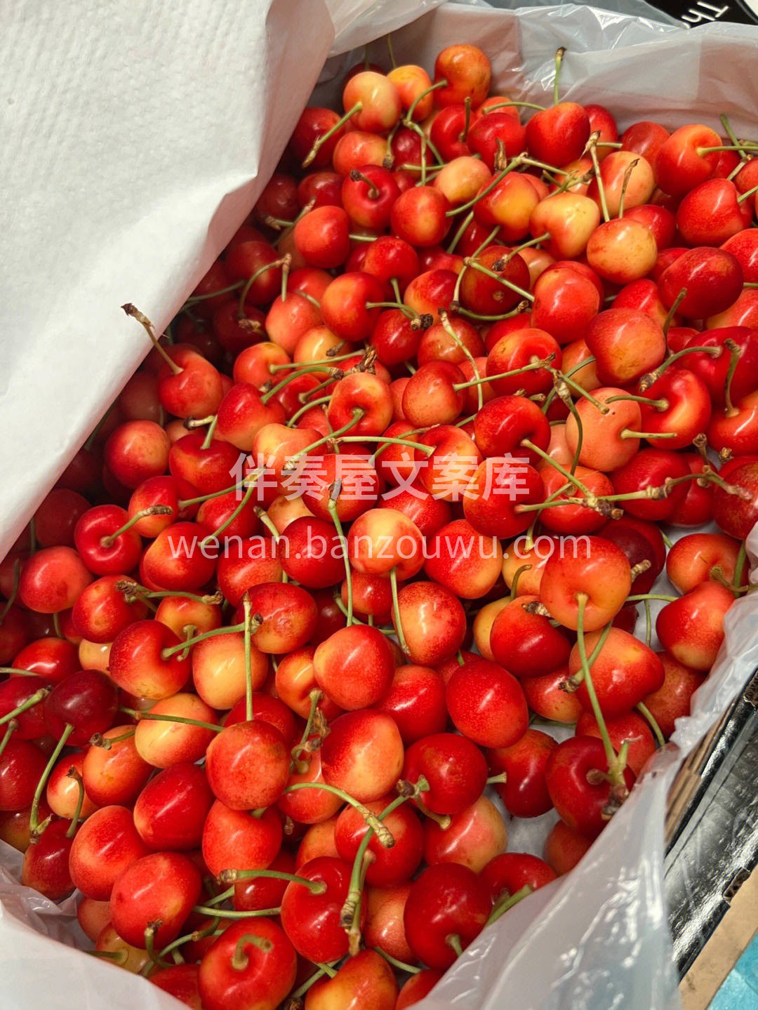 黄金车厘子🍒口感堪称完美，超级脆甜，甜度 配图3