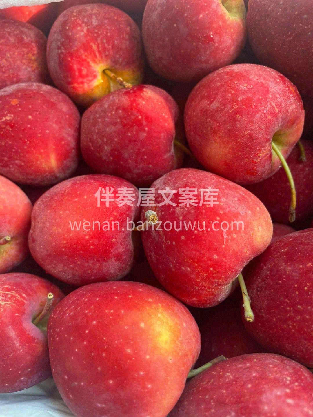 鸡心果🍎特别圈粉小朋友😍 家里的小孩子， 配图1