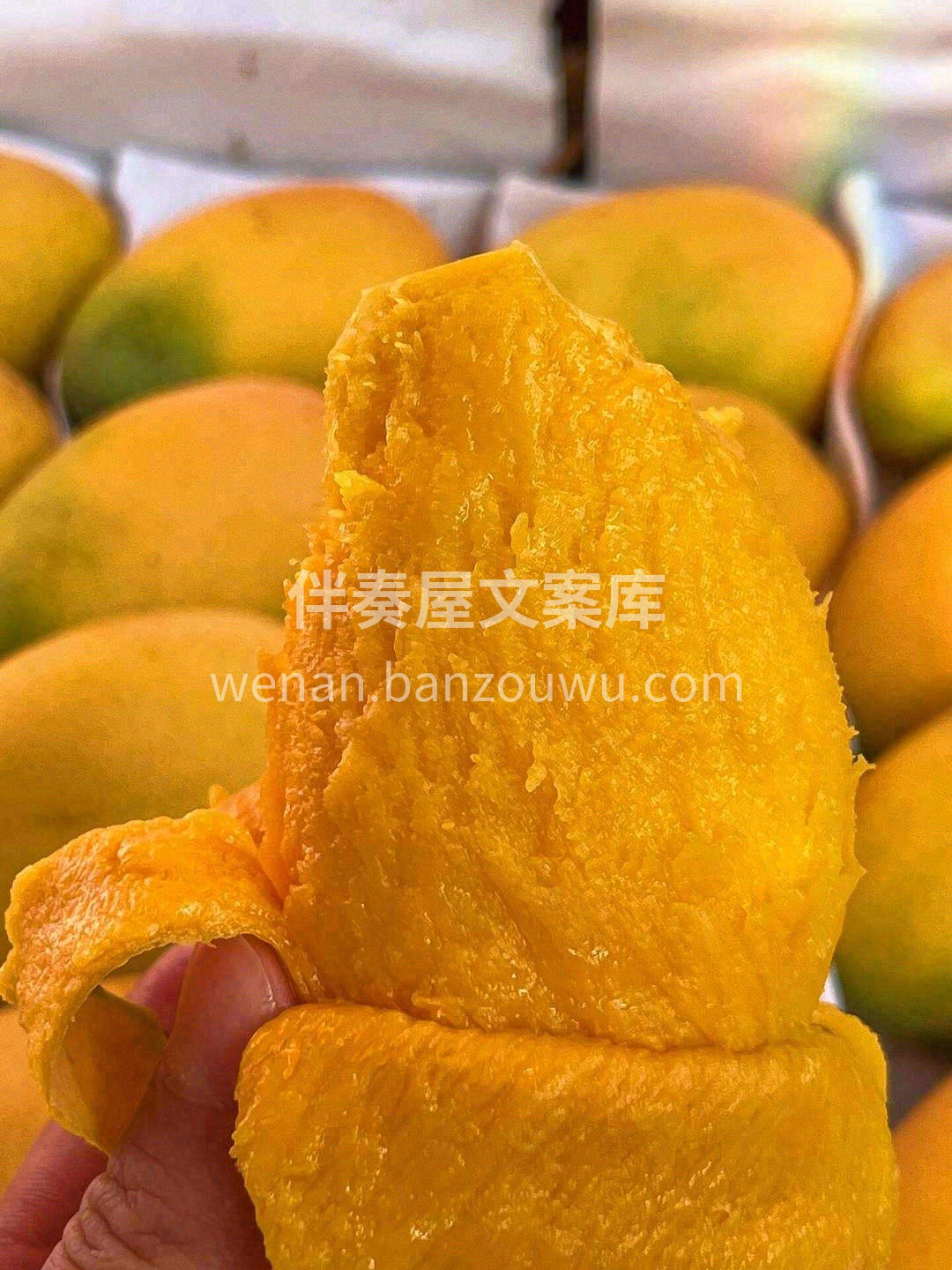 🥭小台农芒果没有高颜值外表，但有最真实的 配图3