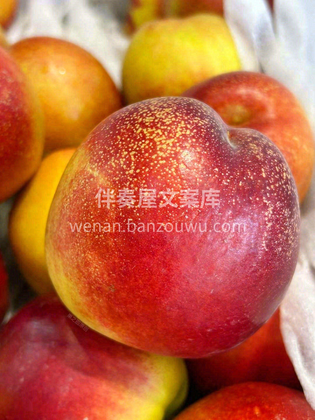 🌞晨光还没爬上窗台，新鲜就“哐当”到店啦！ ✨每一口都是大自 配图6