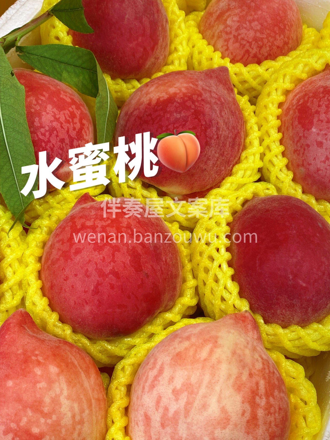 颜色很漂亮🎉口感很脆甜🍭放软还能撕皮～  配图2
