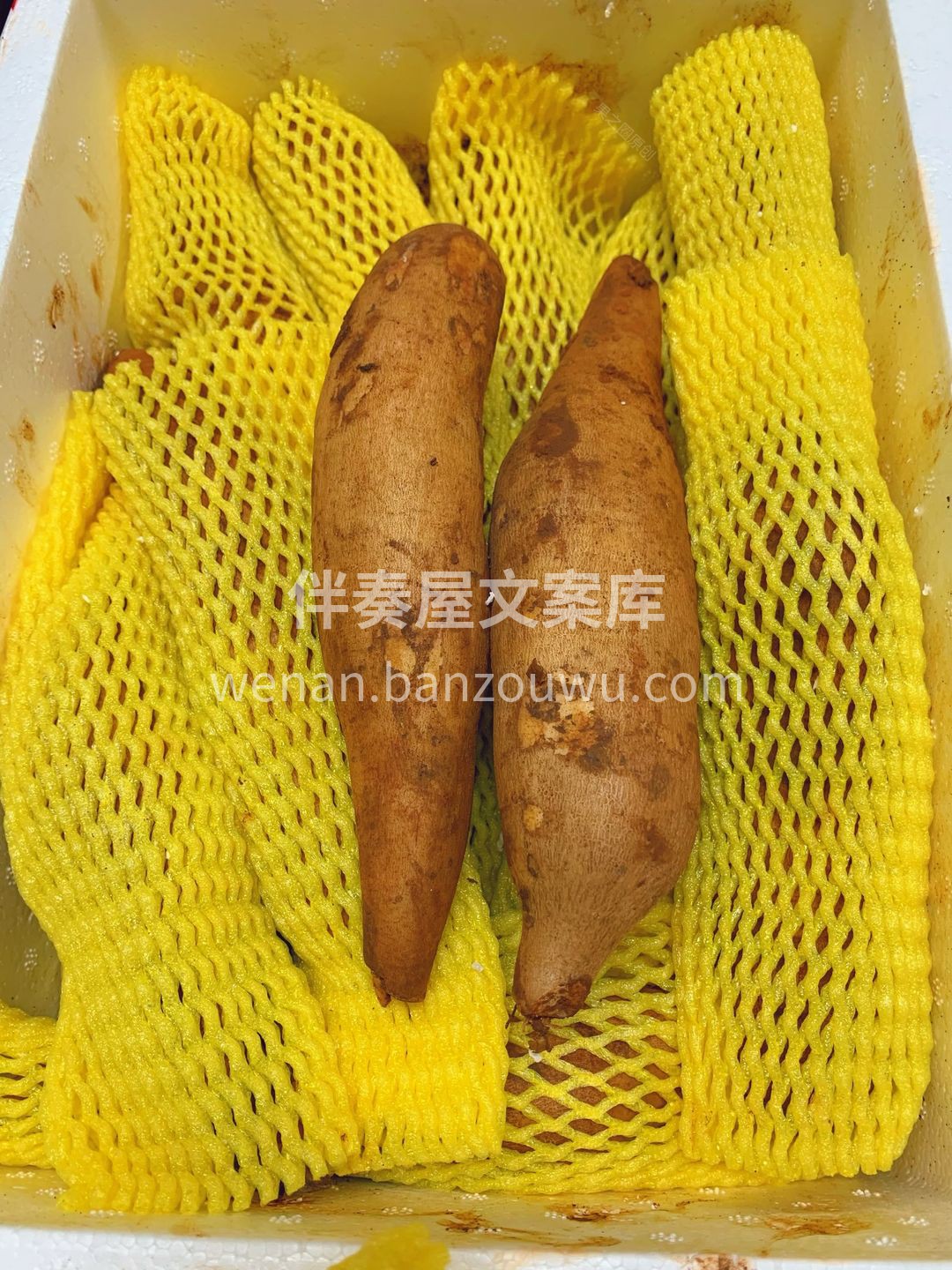 🍂干燥的冬季最适合吃它，内外补水作用作用 配图1