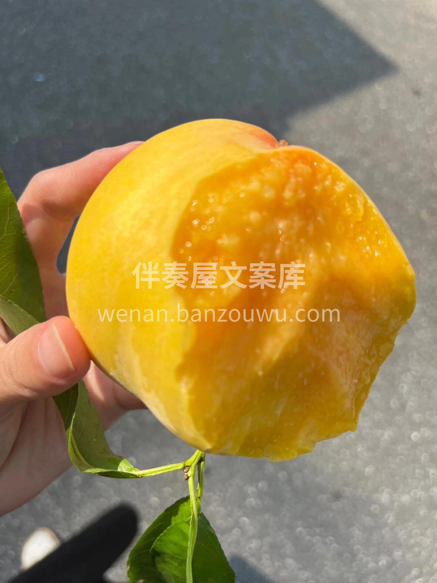 这黄桃甜的上头了🥰 🍭一口爆汁的“甜蜜炸 配图2