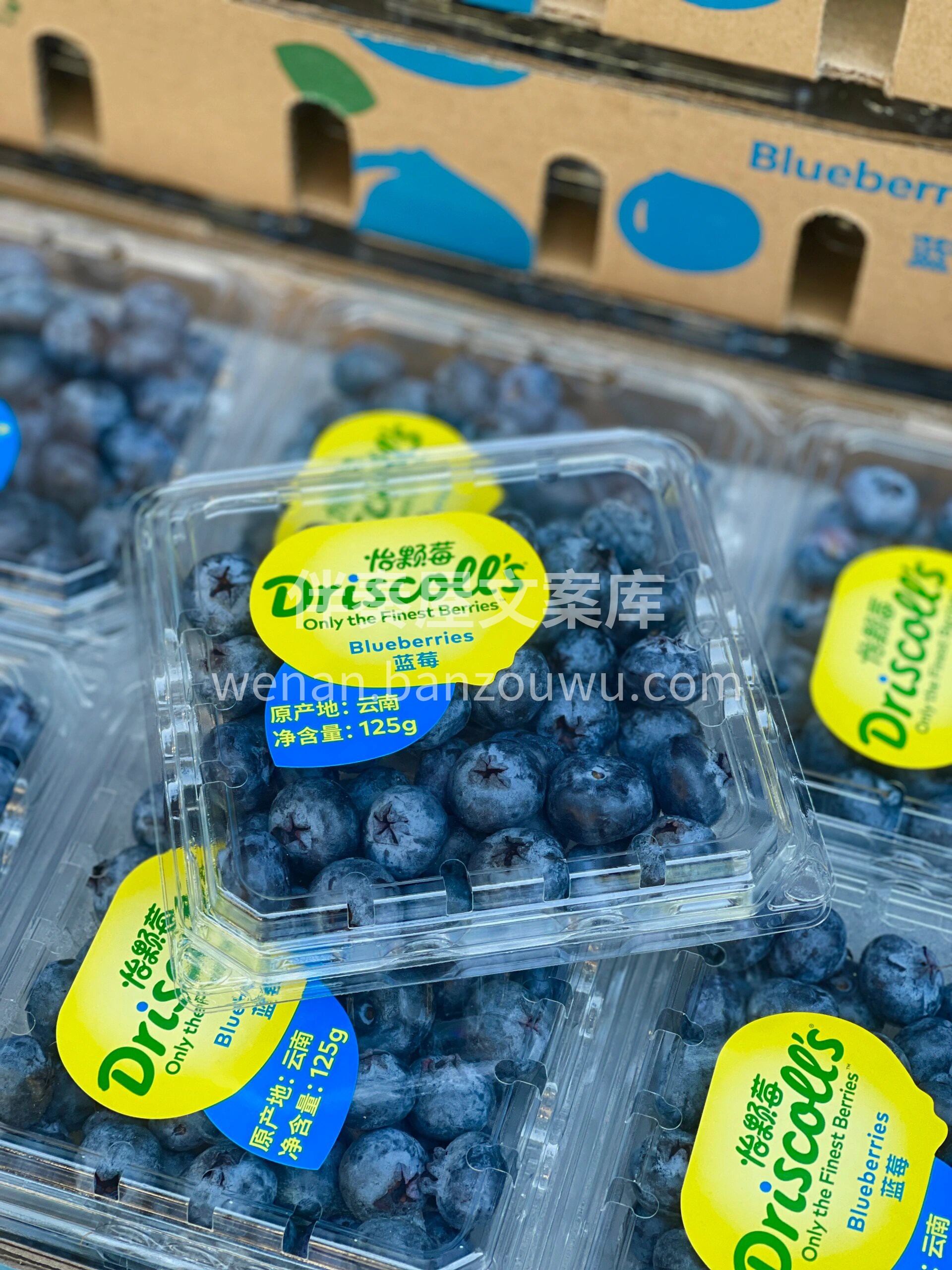 Driscoll's怡颗莓浆果之王！ 在 配图1