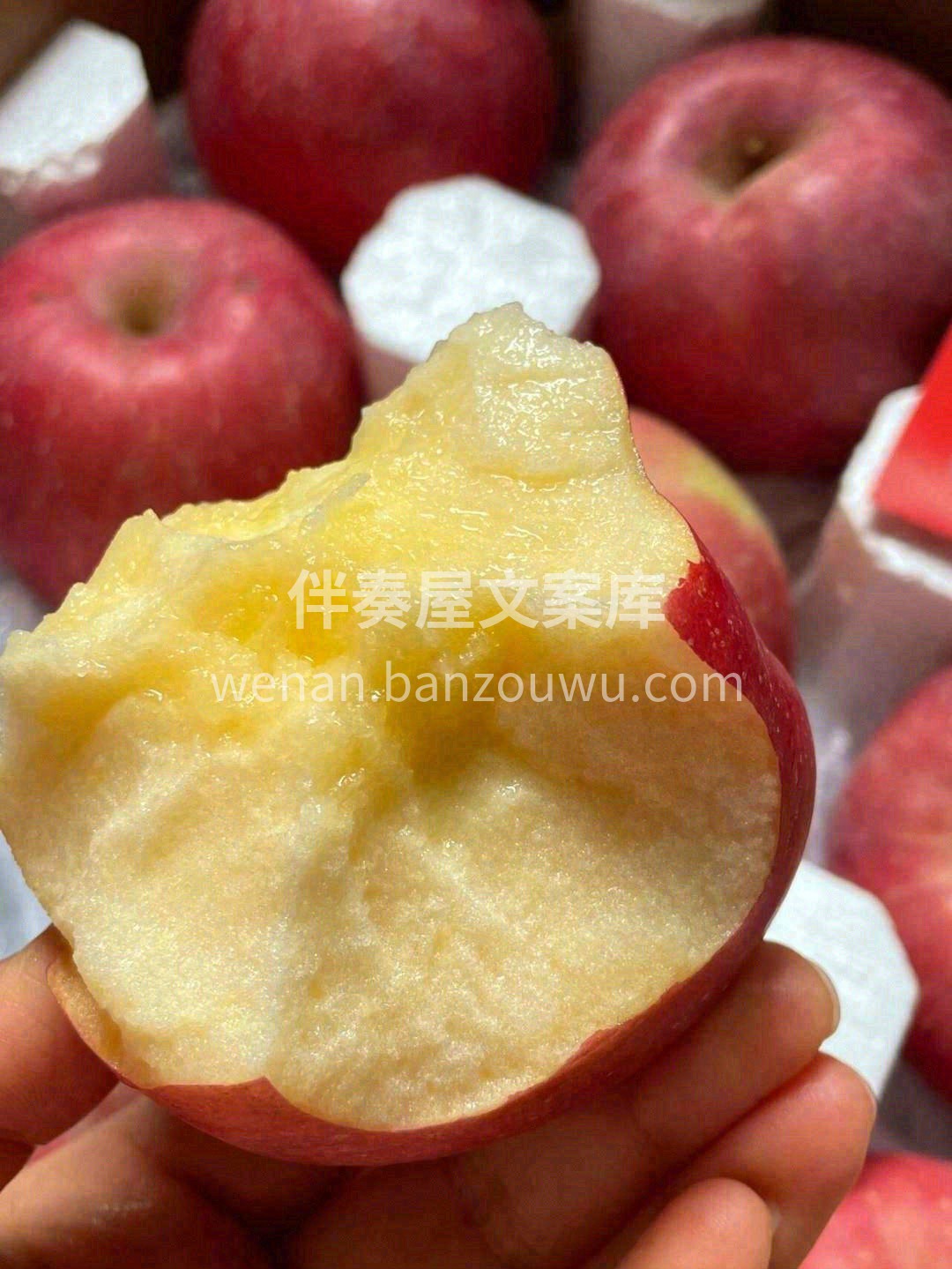 这是一颗离太阳🔆很近，离城市很远的苹果🍎 配图2