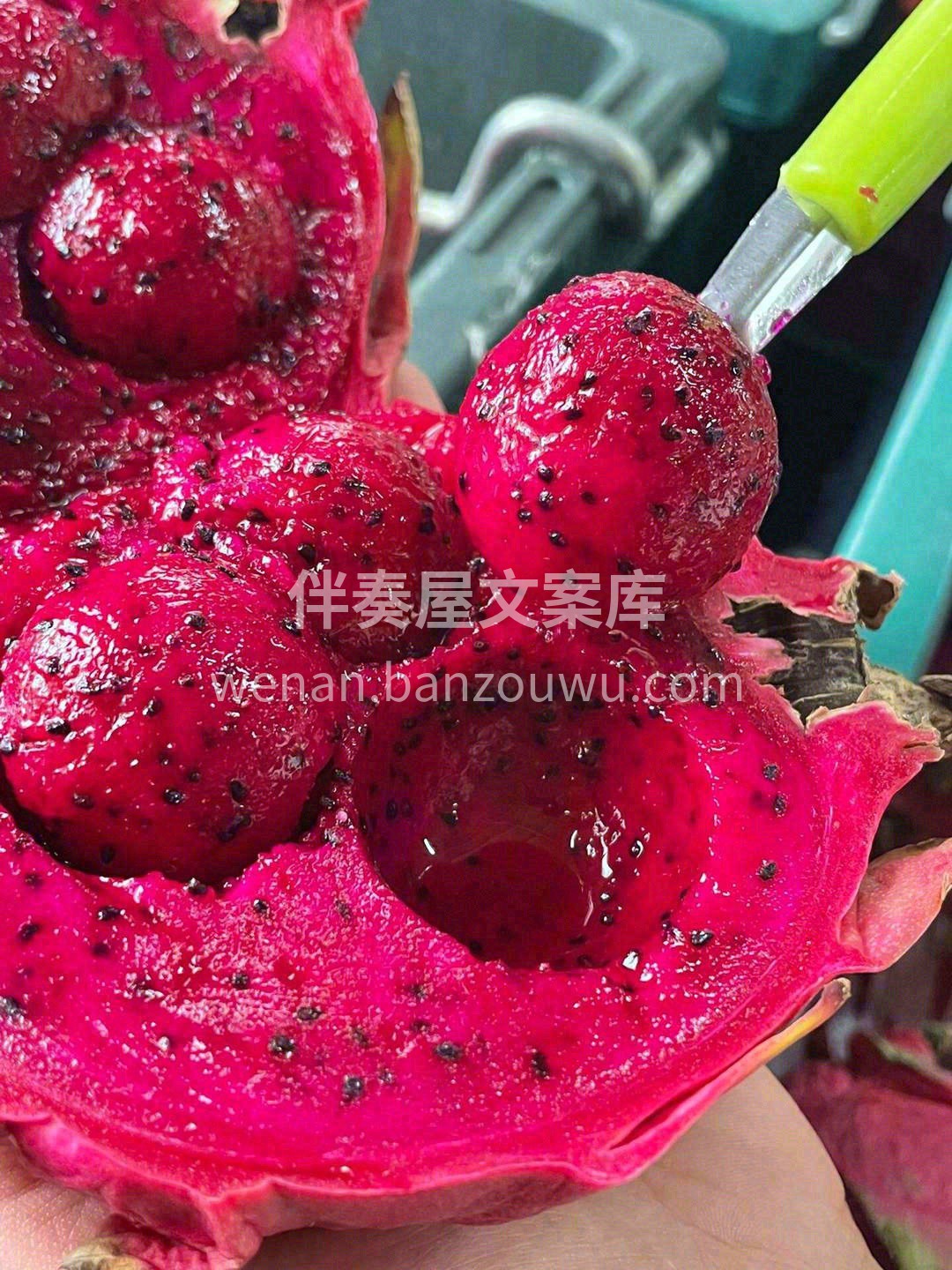 坚持每天吃这颗优秀的红心火龙果🌸！ 你就 配图2