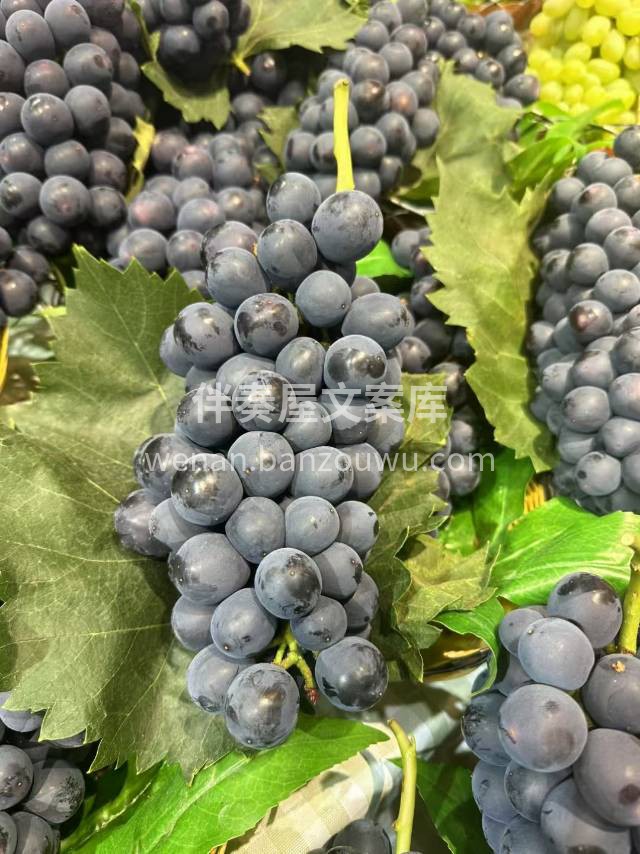 🔥卖爆了的的蓝莓葡萄到货🍇 满满的自然果 配图3