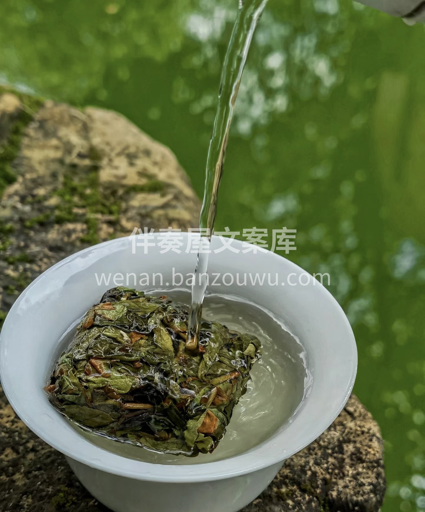 茶之香，心之享。我们的茶叶，以其独特的香 配图3