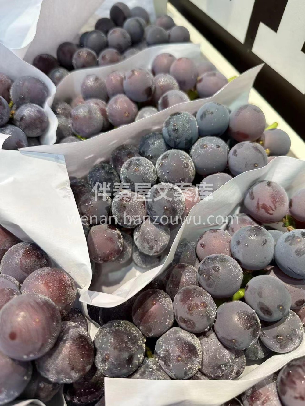 🍭当季热卖👉 巨峰葡萄🍇一口一颗独有的清 配图3