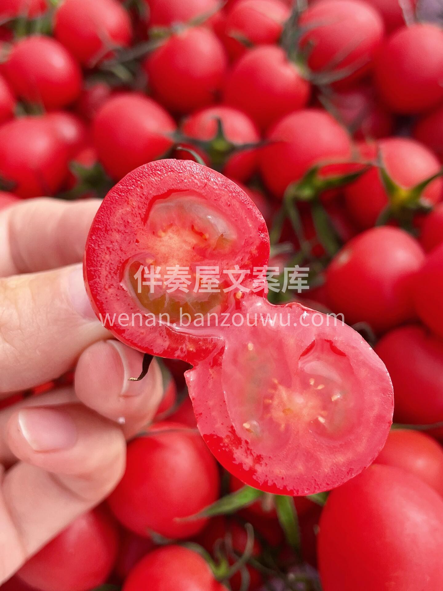 🍅电白千禧真的是一口一个的幸福感🎊 清香 配图1