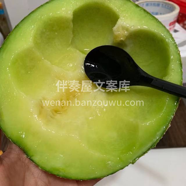 【阿露斯】网纹瓜继续到新货‼️ 品质卓越 配图3