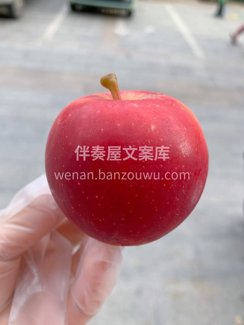 新西兰火箭筒🚀小苹 ，奢华的品味，健康的 配图3