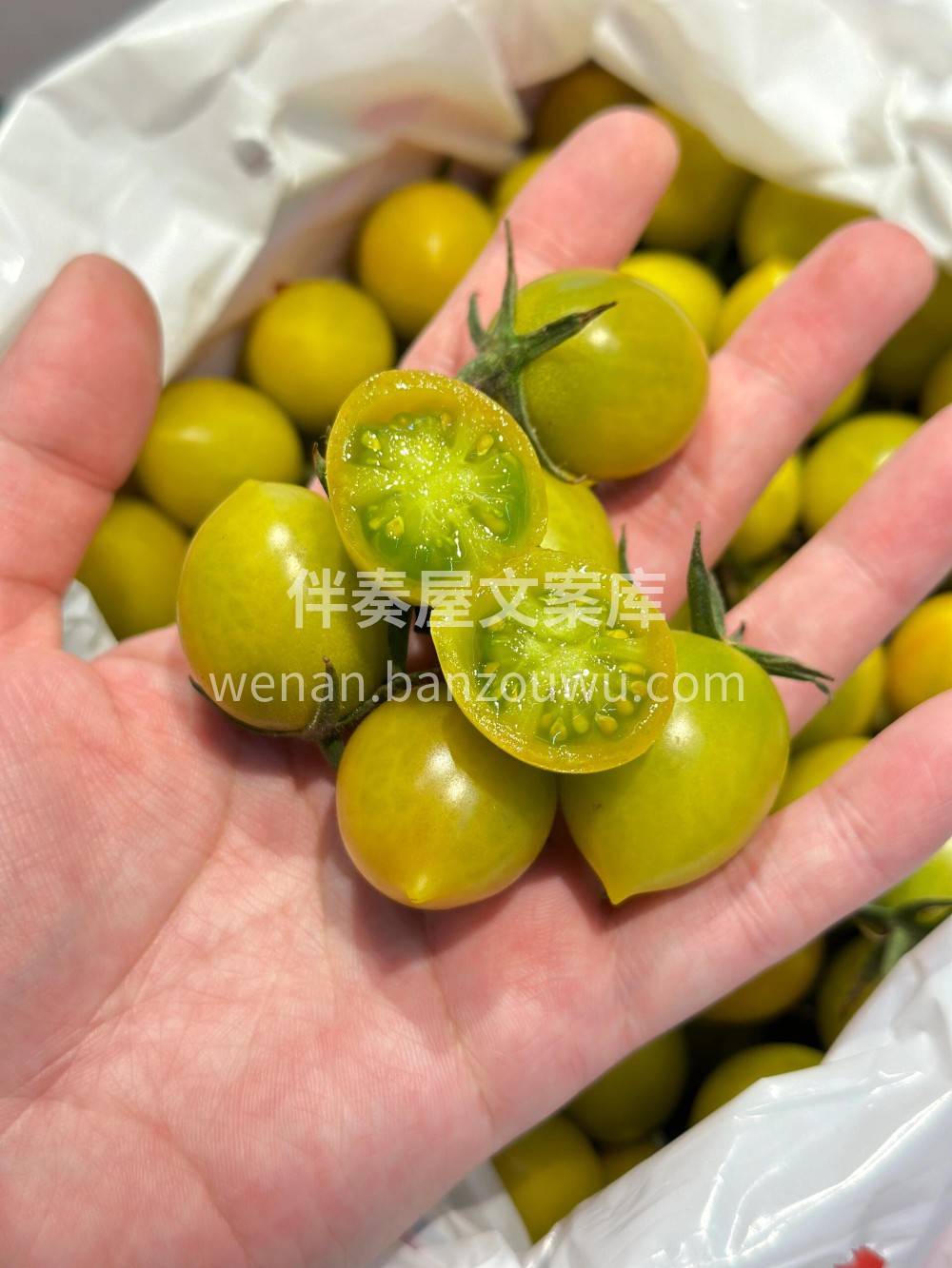 有机糖豆小番茄🍅“嘎”甜～ 🍭适合夏季减 配图1