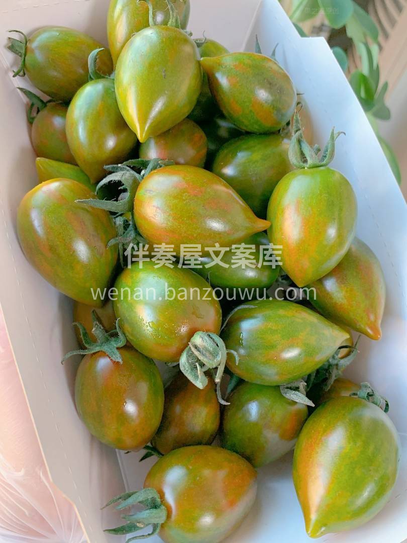 😊好吃的迷彩番茄，外形独特，成为一道靓丽 配图2