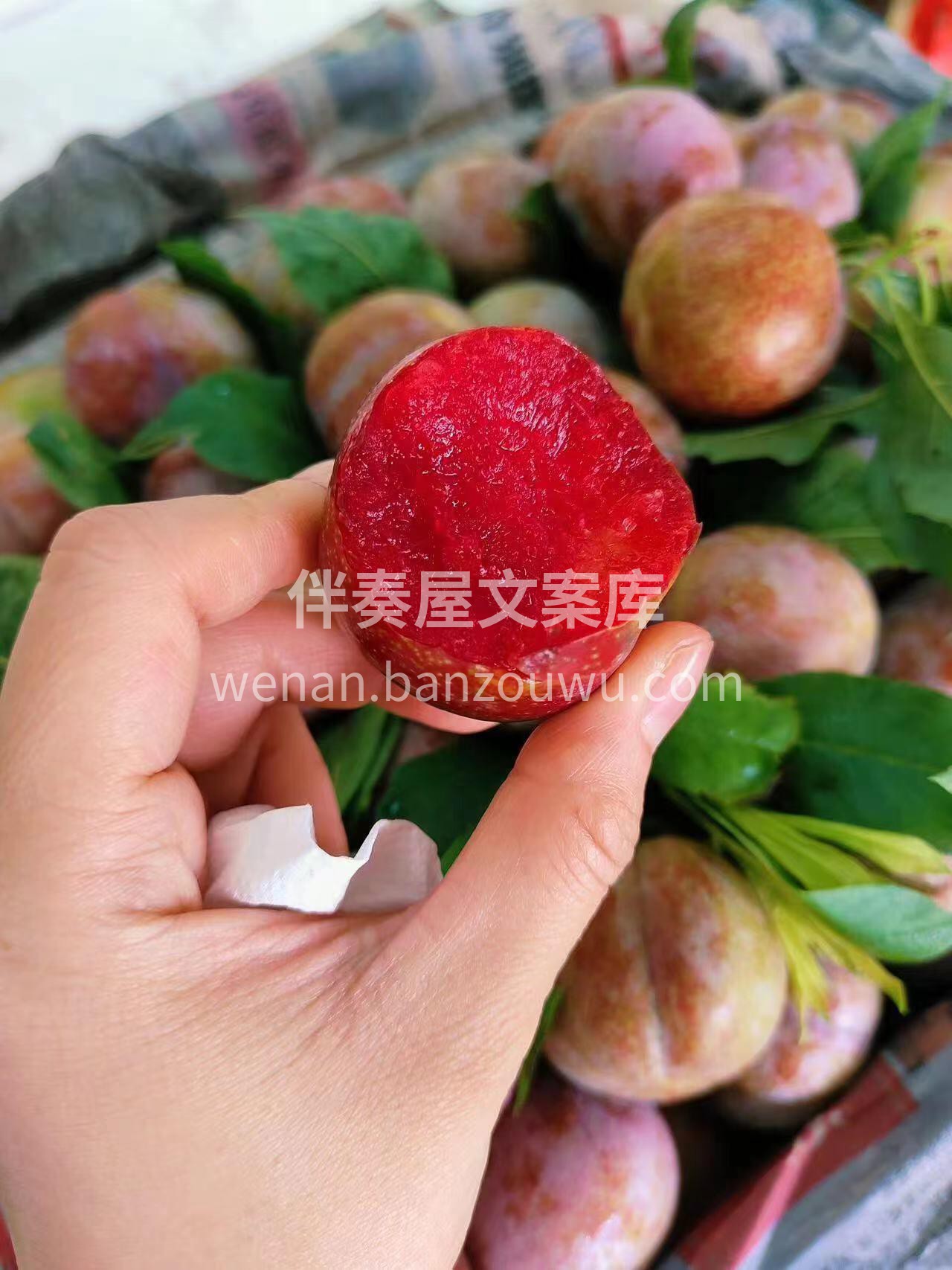 🌸果肉爽脆中带些柔软，柔软中不失硬度💥， 配图2