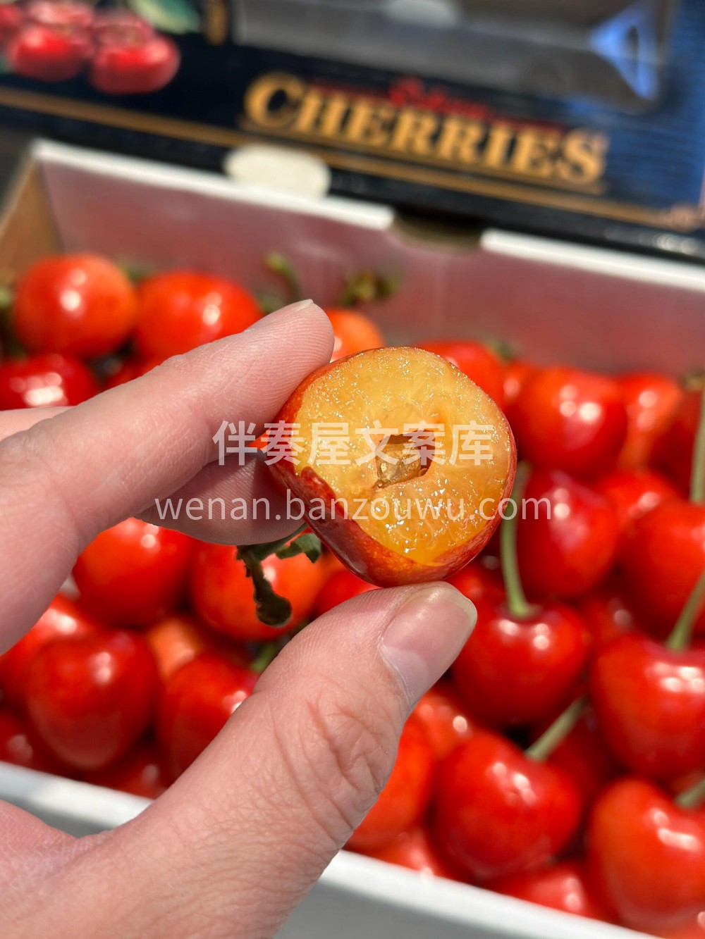 山海关樱桃→沙蜜豆🍒 虽然沙蜜豆带点酸口 配图1