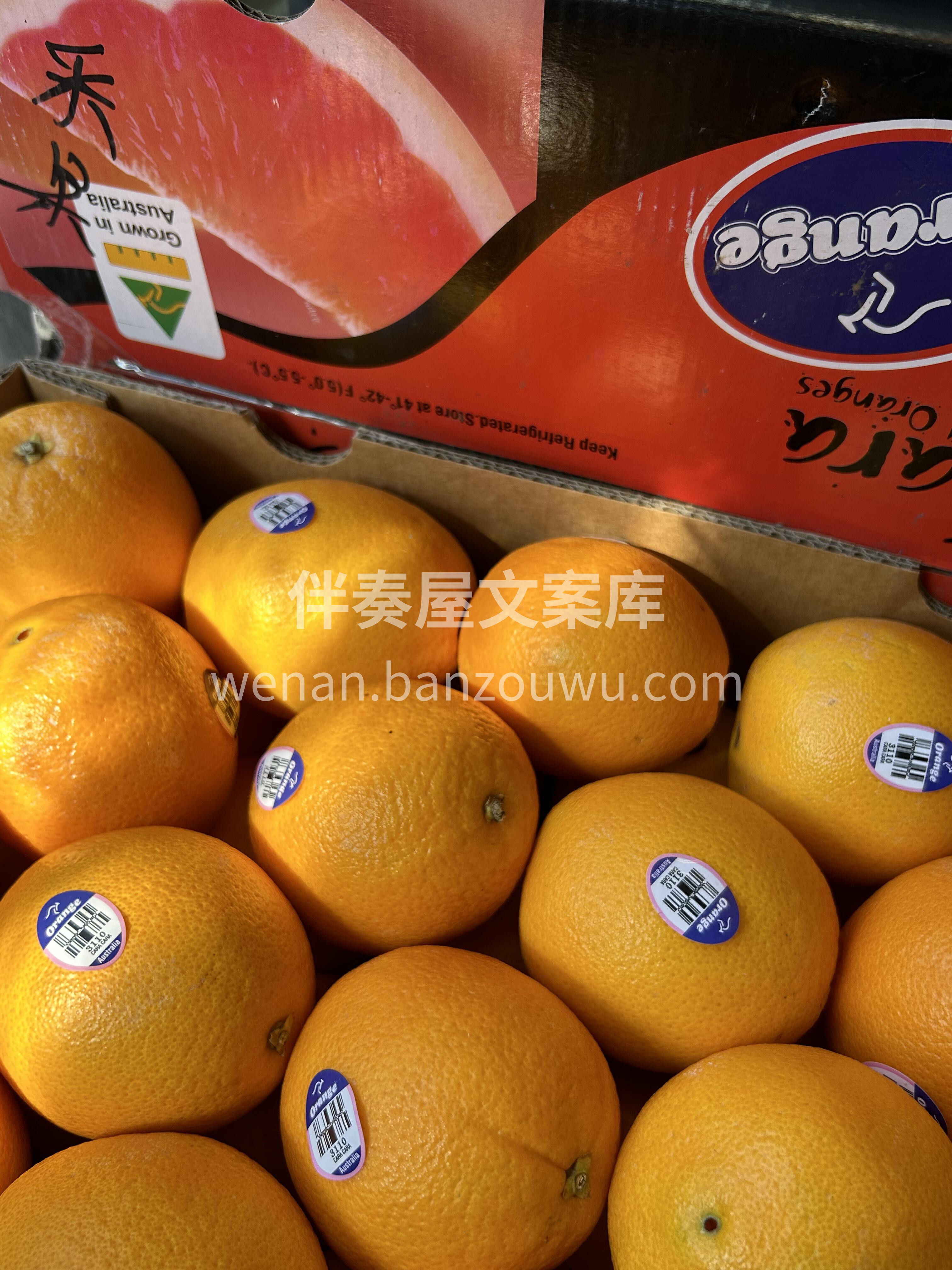 🆕新到【澳橙🇦🇺】 🍊 品质非常高 ，橙 配图2