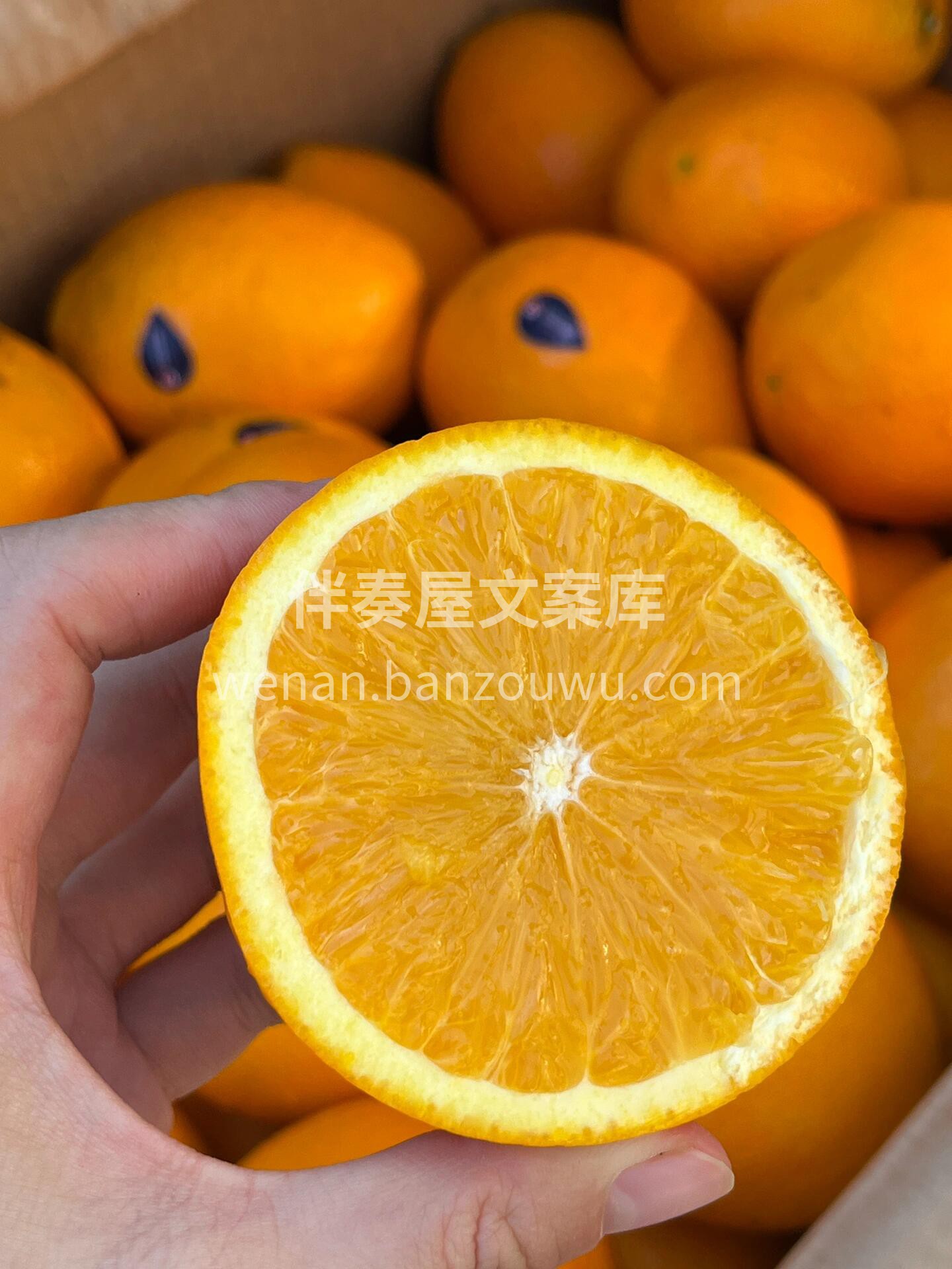 每日VC在这里👇 🌈来自“彩虹之国”的【 配图3
