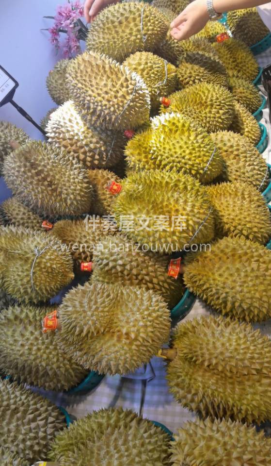 😎A级金枕榴莲🎉👑果壳小、果肉多，吃起来 配图3