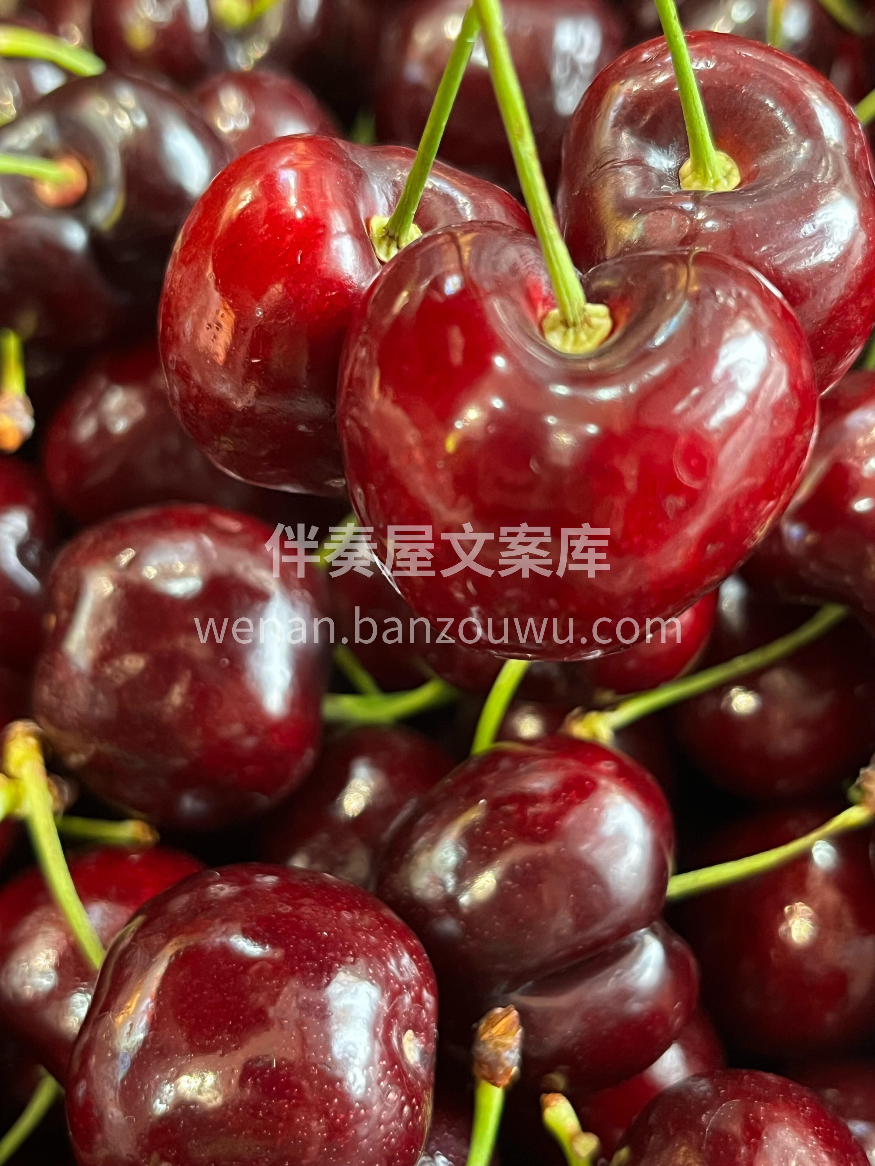 这个冬天 最幸福的事情莫过于👇 每天都有 配图3