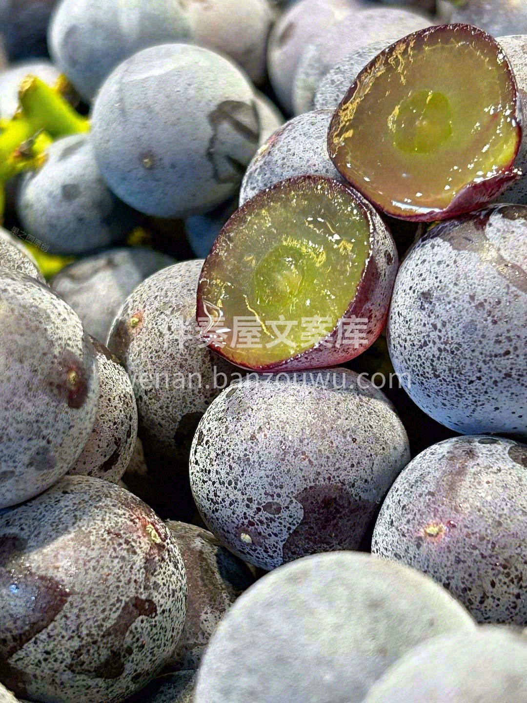 一份坚守的味道🙋 一份淳朴的葡萄香🍇 葡 配图1