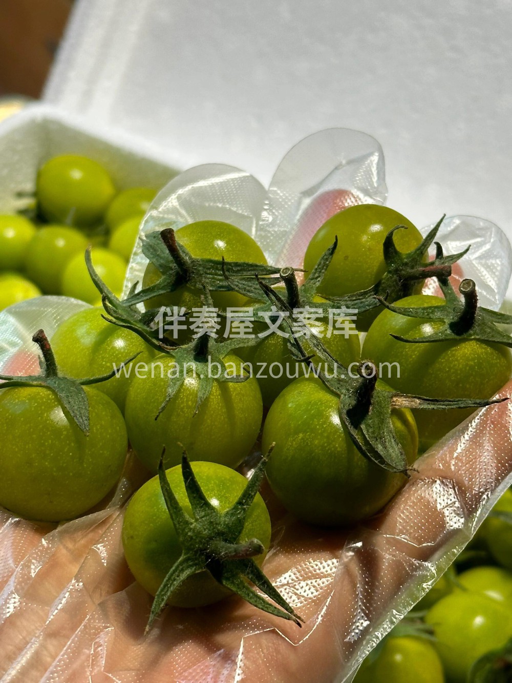 💚青霞小番茄🌸口感和颜值有着极大的反差！ 配图1