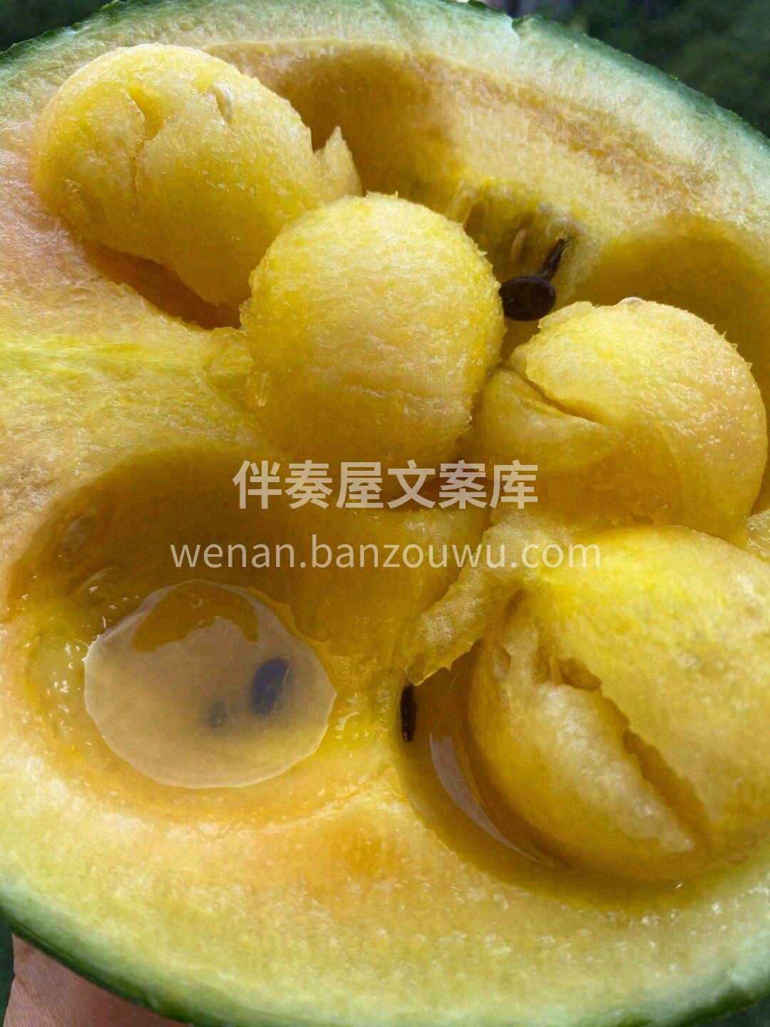 初到舌尖时😋，有一丝甜蜜的凉意，像是在吃 配图2