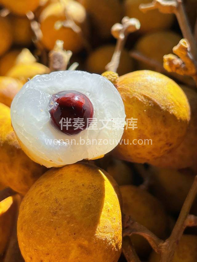 ✨ 今日份“圆圆满满”已上线！颗颗饱满的 配图1