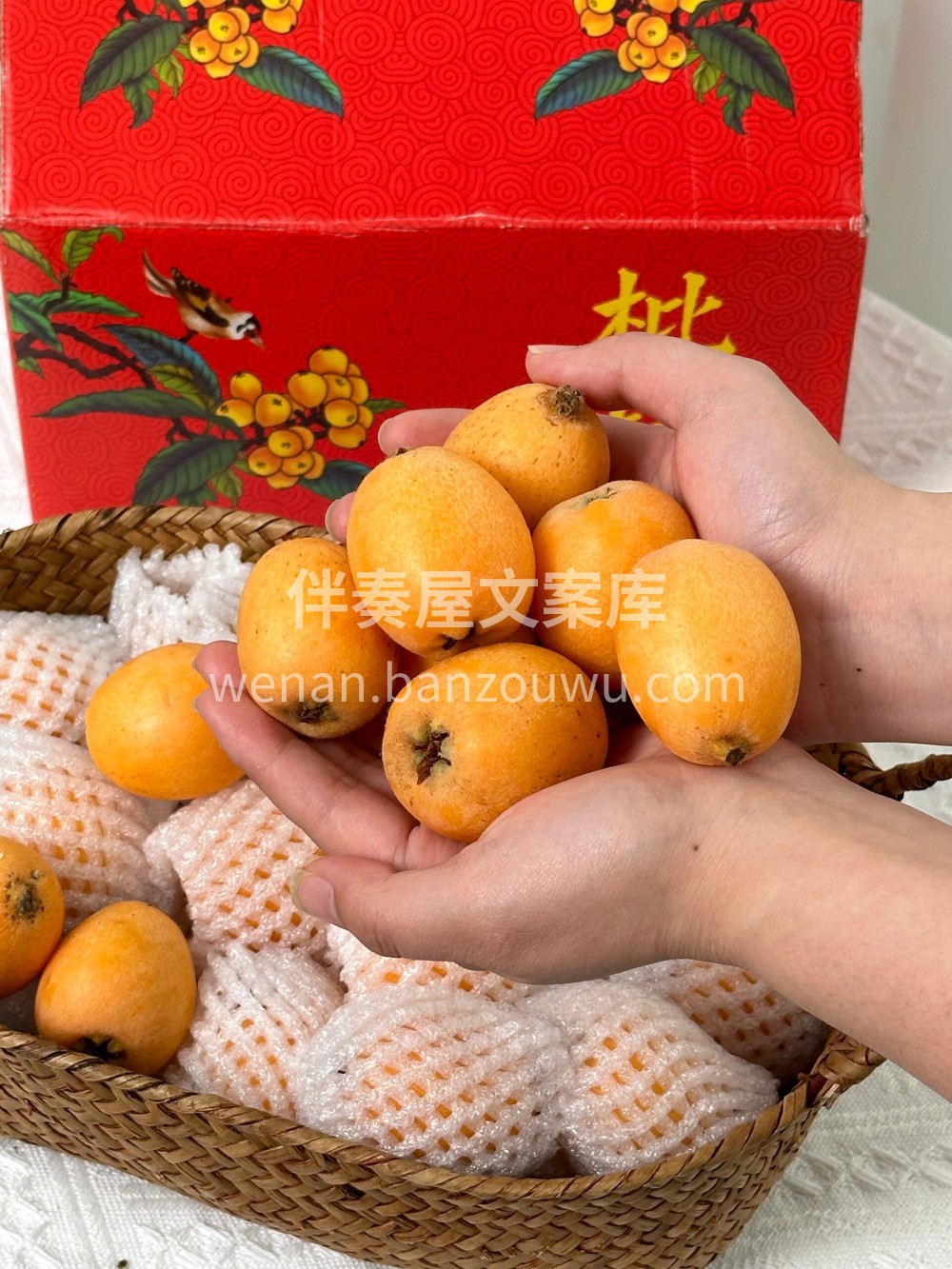 这个季节吃枇杷真好😋“枇杷能润五脏，滋心 配图2