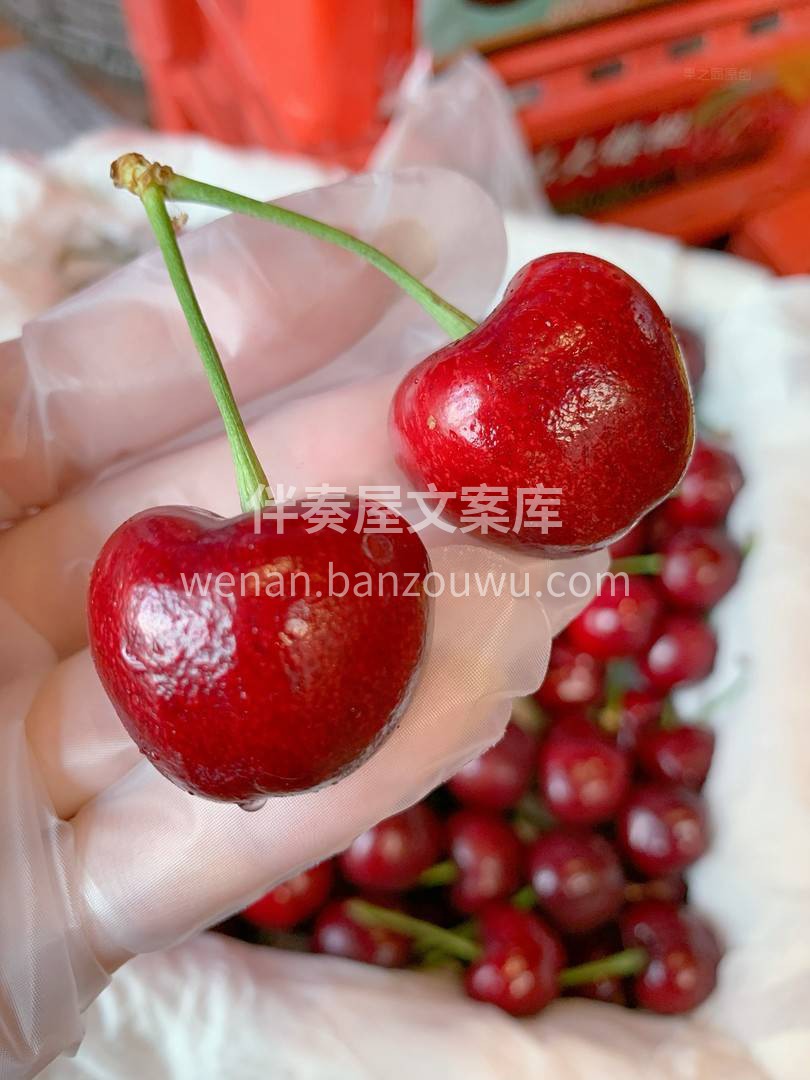 🍒美早樱桃富含丰富的维生素C，它的铁元素 配图3