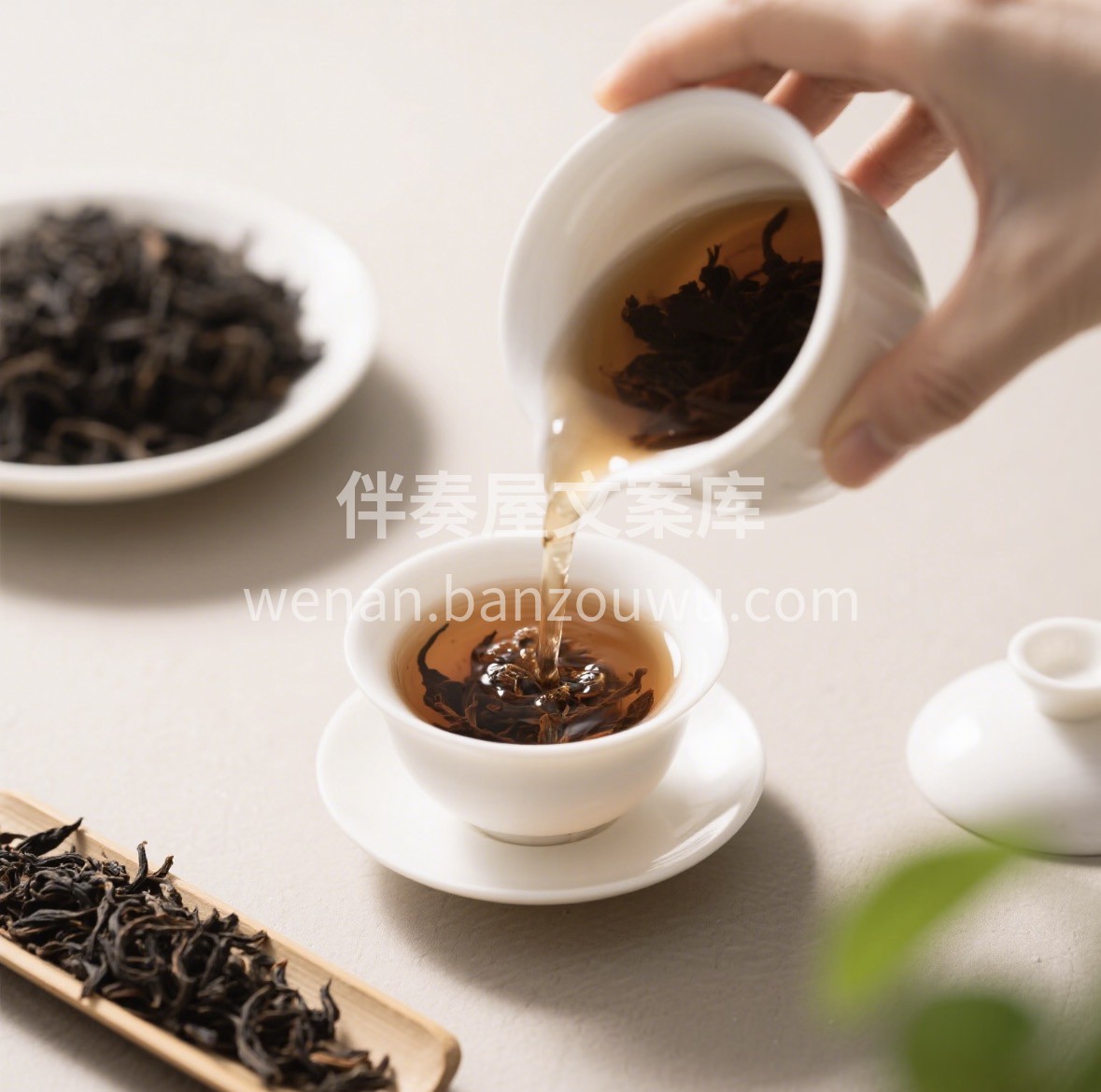 🎁新春茶礼选正山小种🍵 武夷核心产区，松 配图2