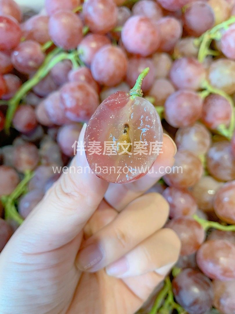 🌿红提算是葡萄界的流量担当了👍 每年的夏 配图3