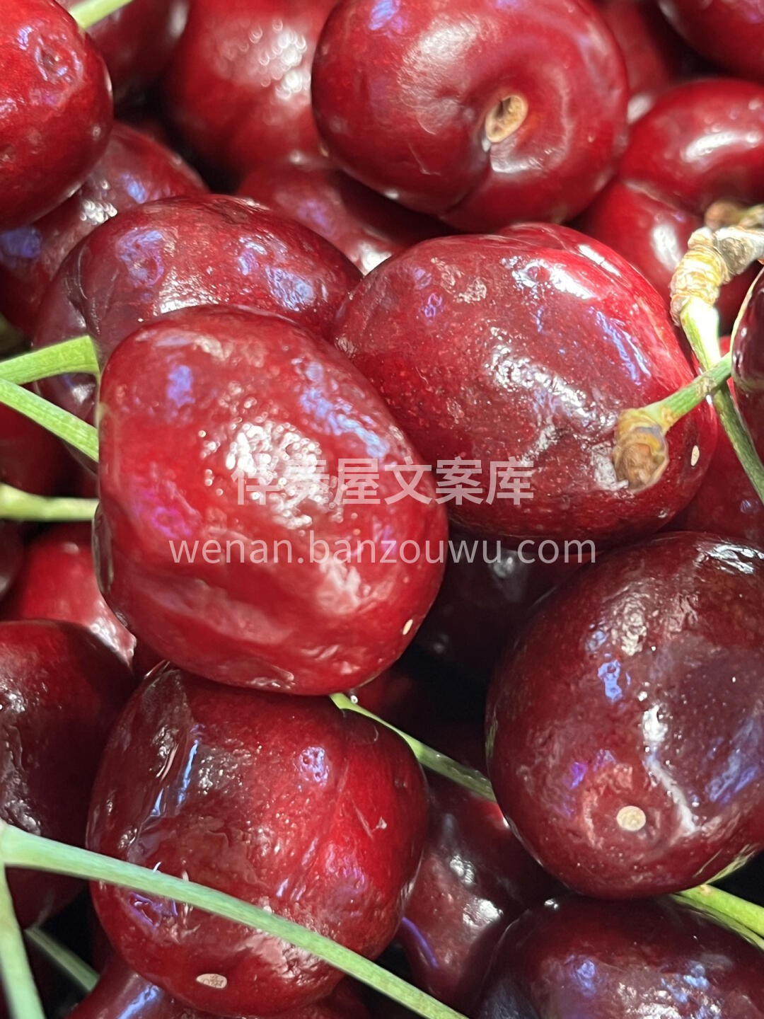 🎀ᵕ̈ෆ 🌷𝒫𝒾𝓃𝓀🌷人生最好的状态：不 配图3