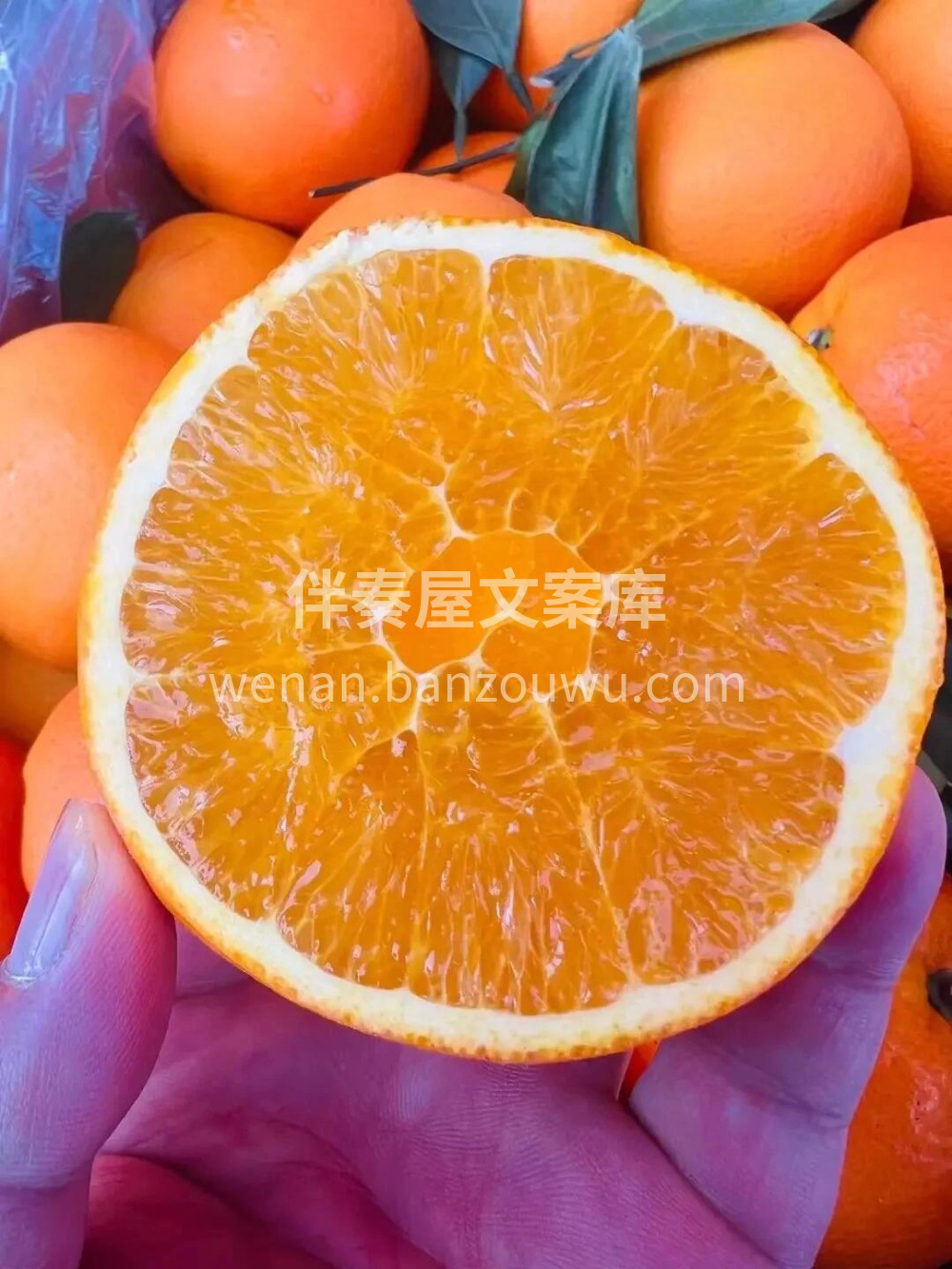 蜂蜜橙💚当季最好吃的蜂蜜橙🍯，没有之一， 配图1