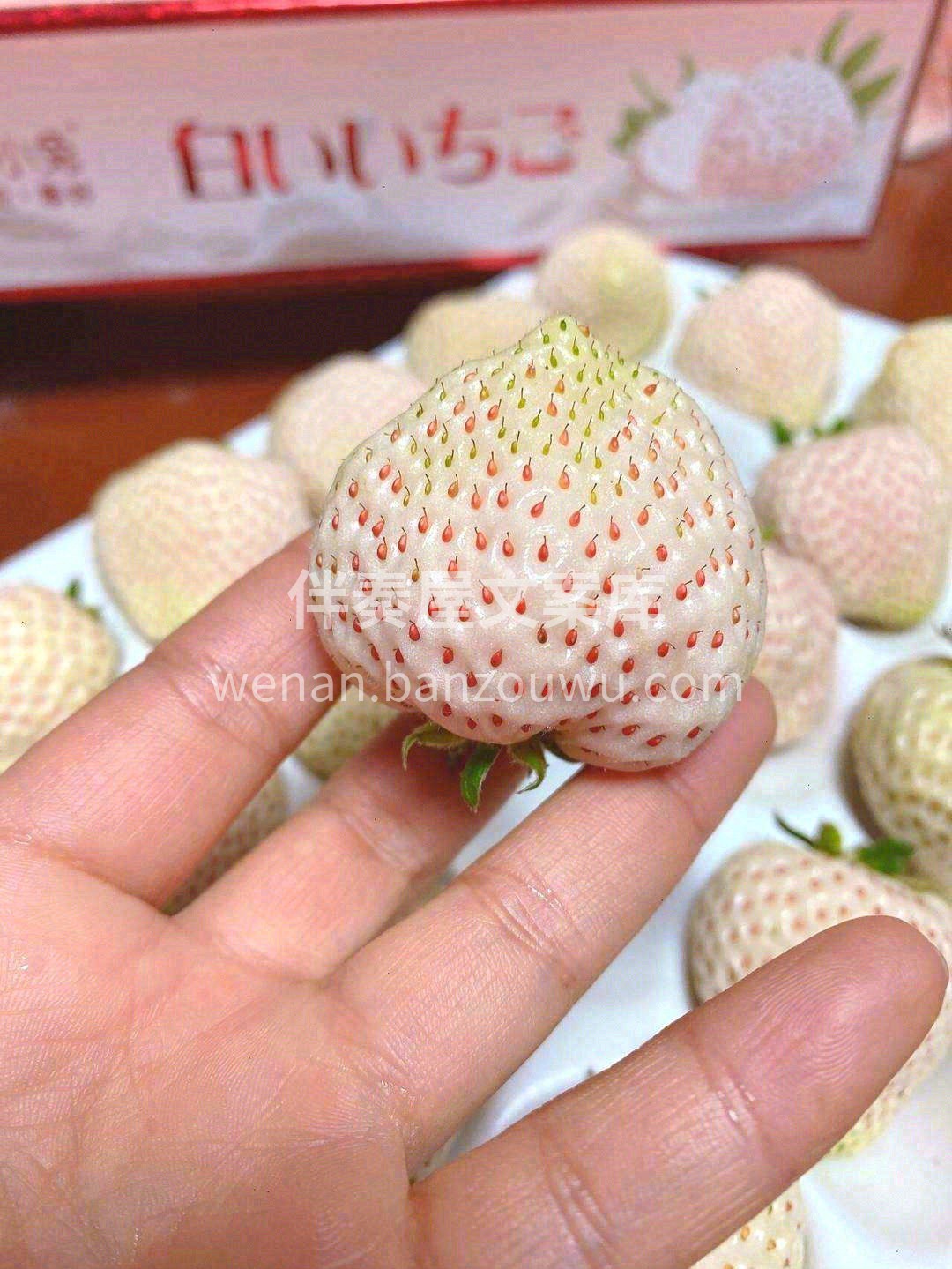 ?好看的东西往往有一种魔力， 让你一眼就 配图3