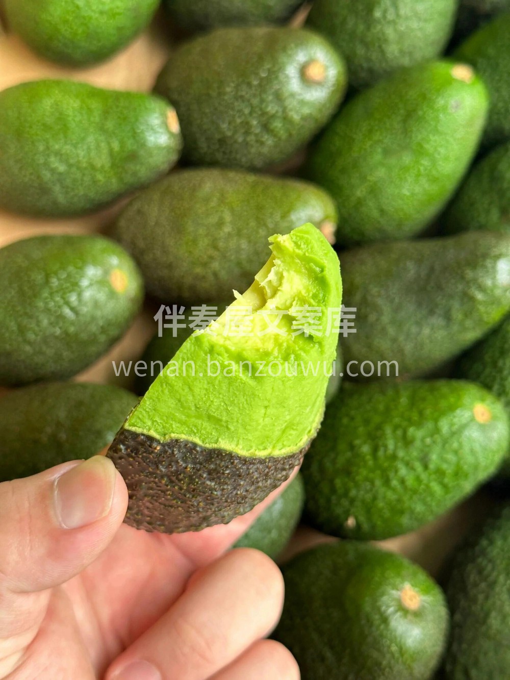好漂亮的牛油果有“森林奶油”🥑之美誉，个 配图1