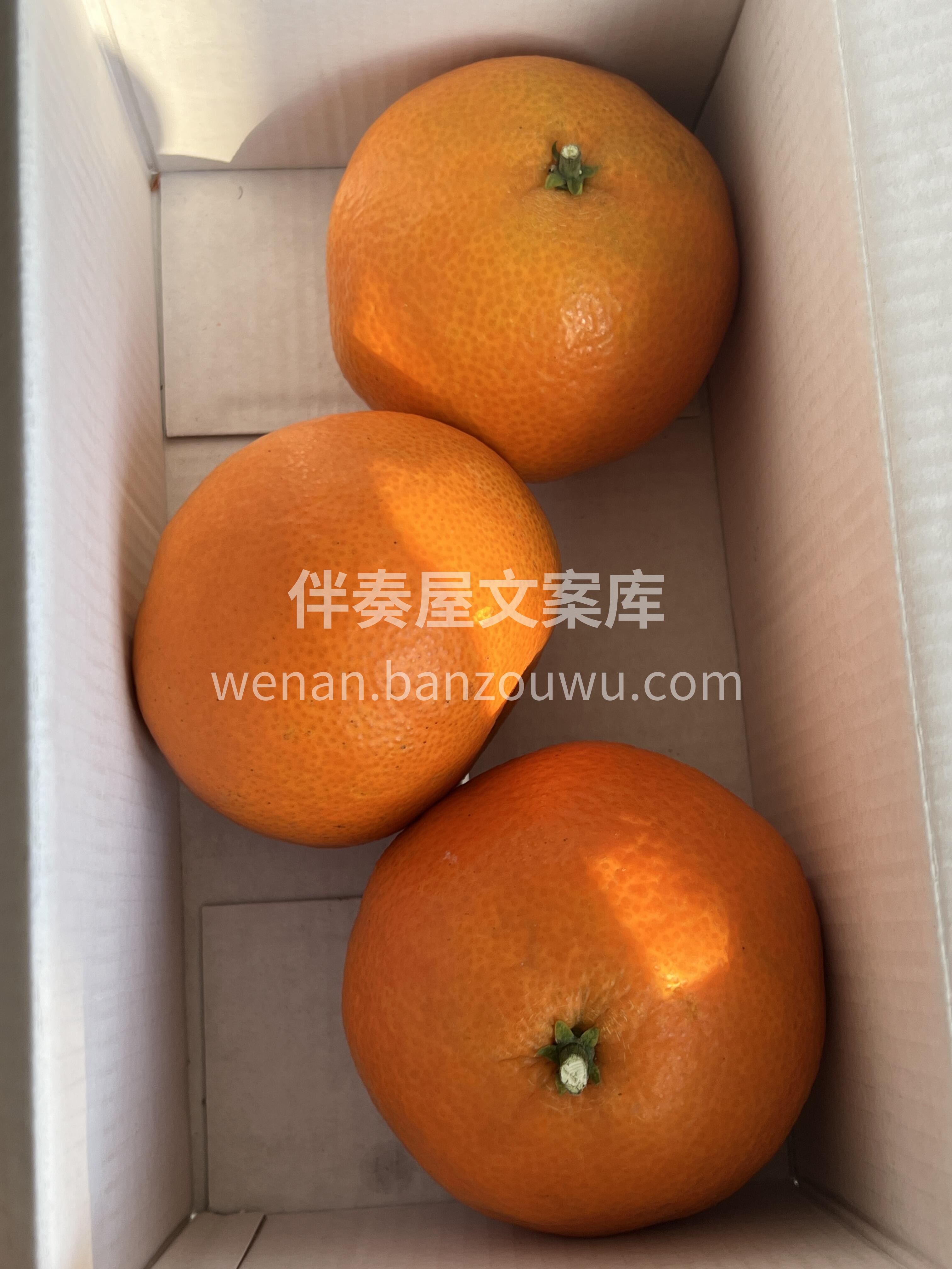 🍊 甜橙果香扑鼻！ 果肉软嫩，超多汁💦  配图3