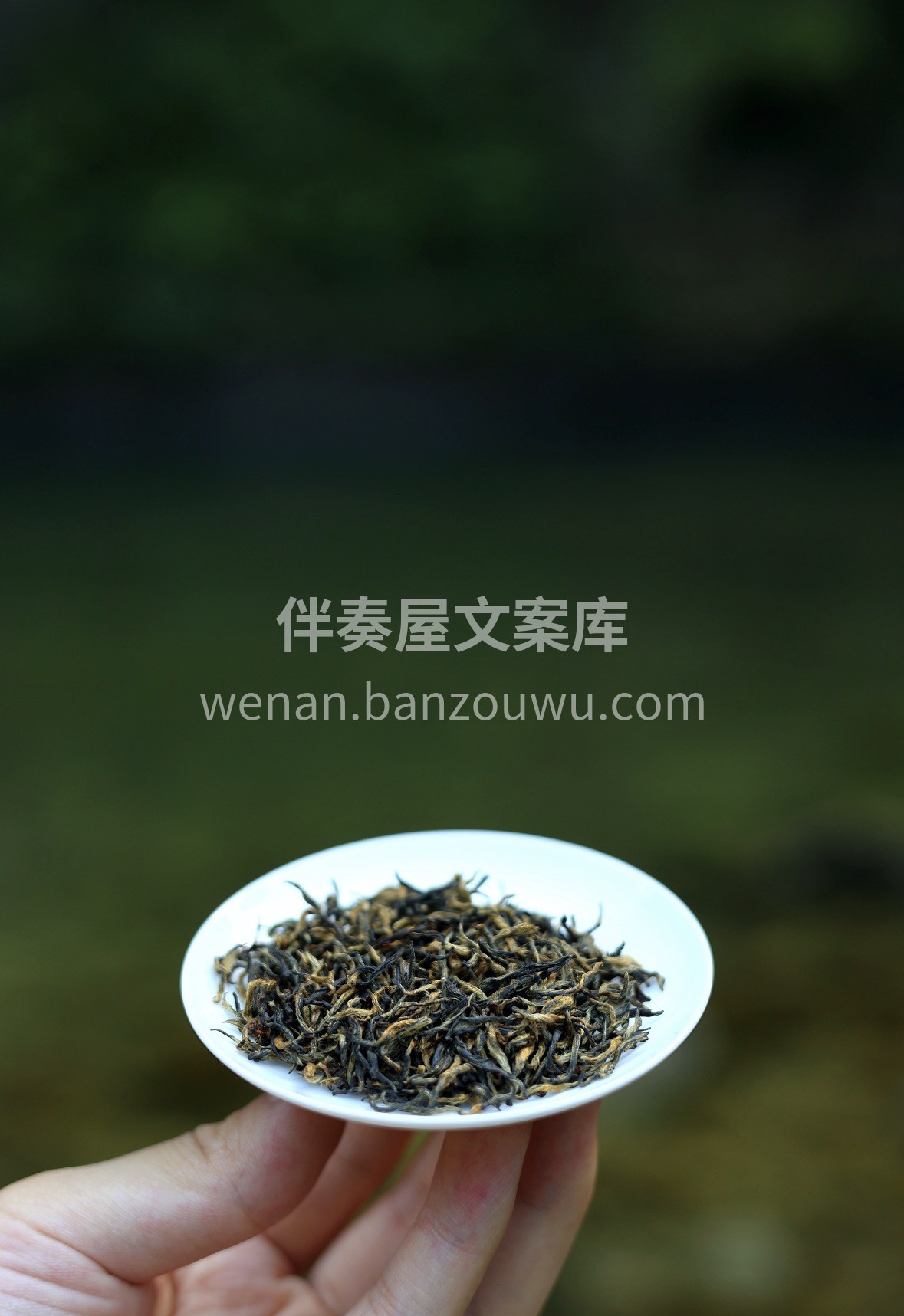 春风回暖，最宜一杯工夫红茶。 慢工夫，出 配图1