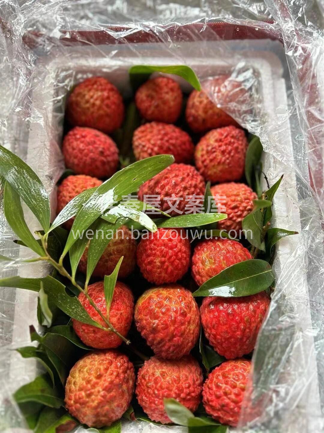 忽而夏已至，荔枝正当红💌 你尝遍了人间烟 配图2