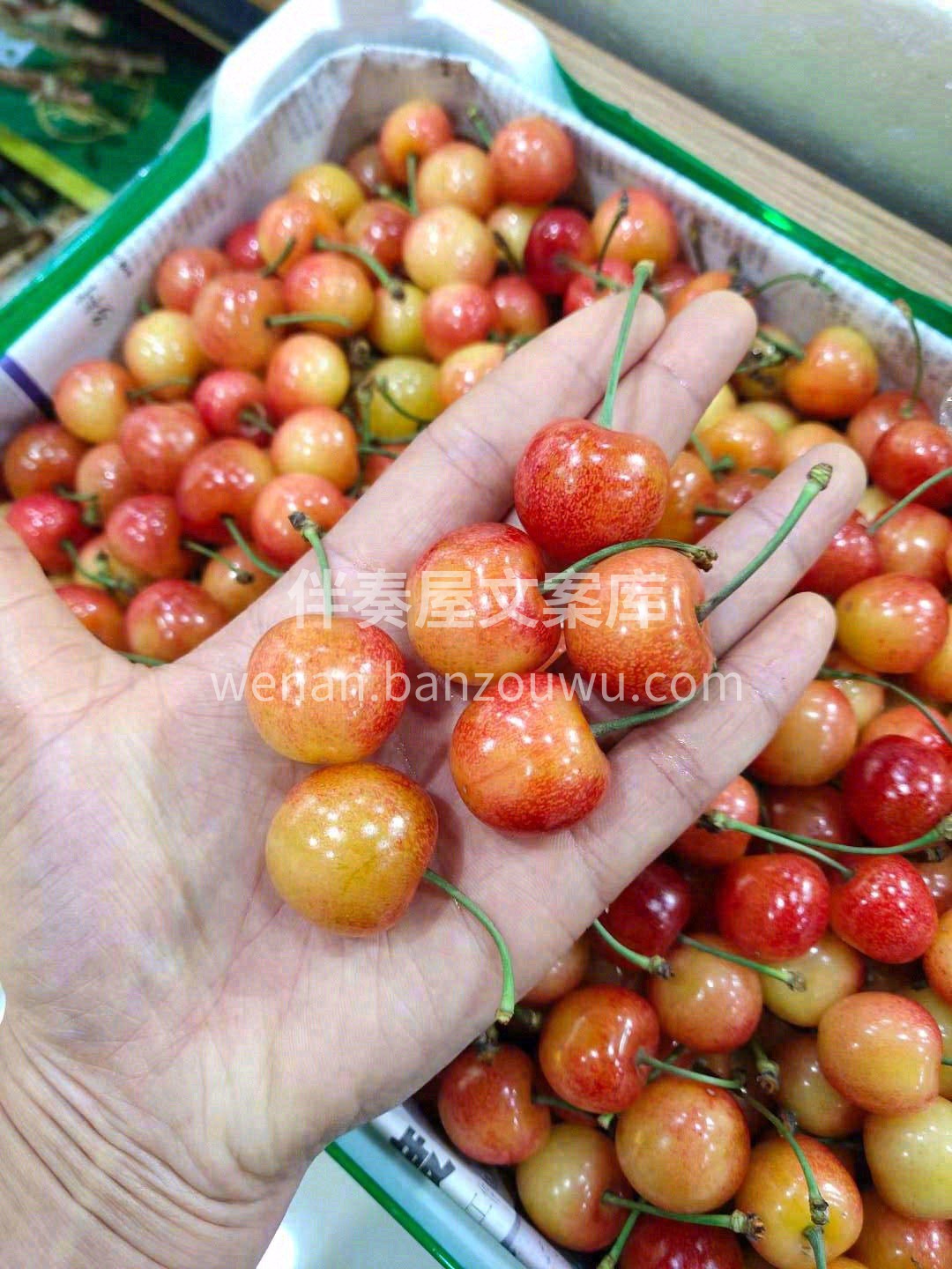 🌟“品三颗樱桃，享半日香甜”🍭 黄蜜樱桃 配图1