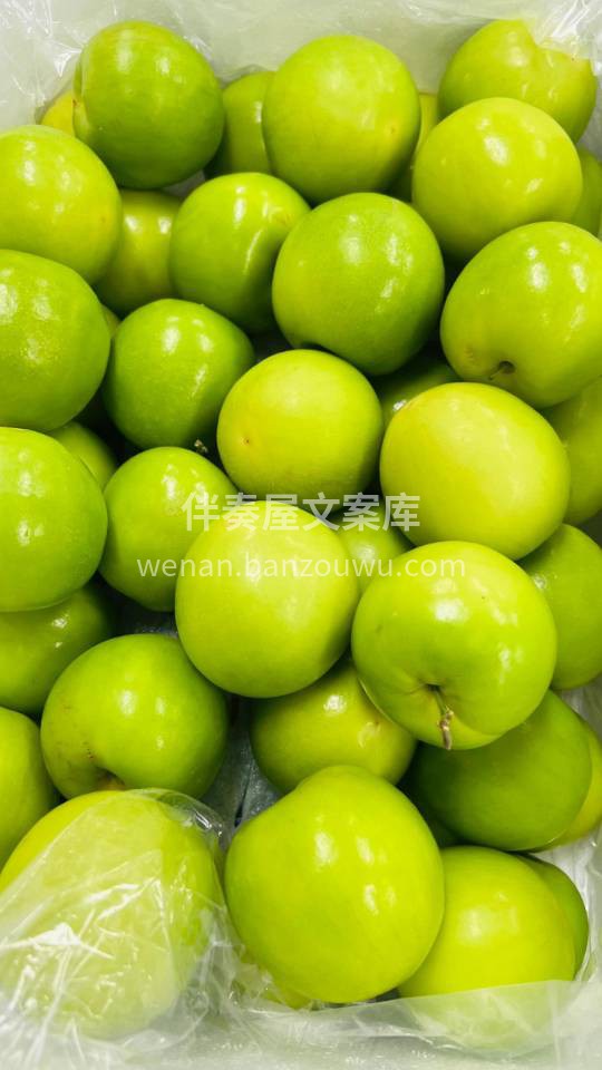 新品推荐👉牛奶青枣🥒 小而圆润，一口咬下 配图2