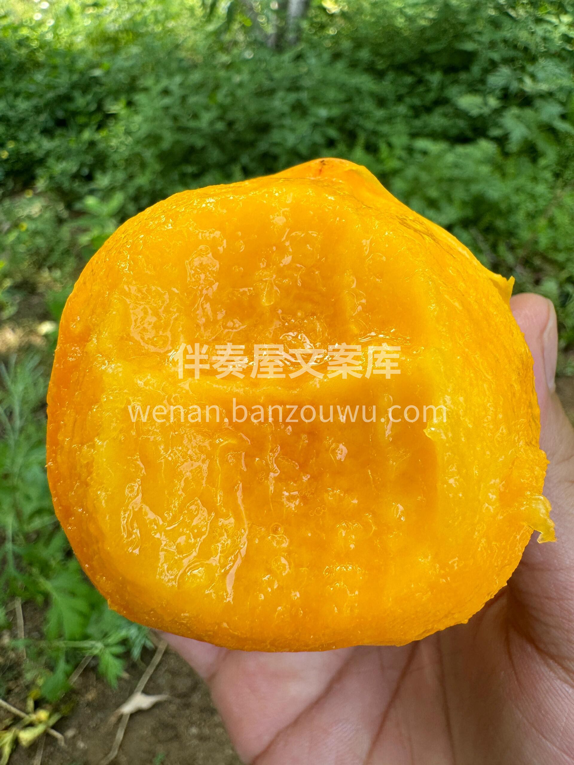 💛【黄油桃】🍑 入口就能让你尖叫不止于甜 配图2