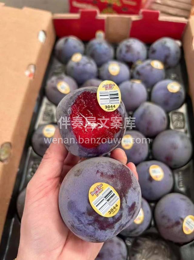 美国🇺🇸恐龙蛋「黑布林」🌸风靡世界，美到 配图2