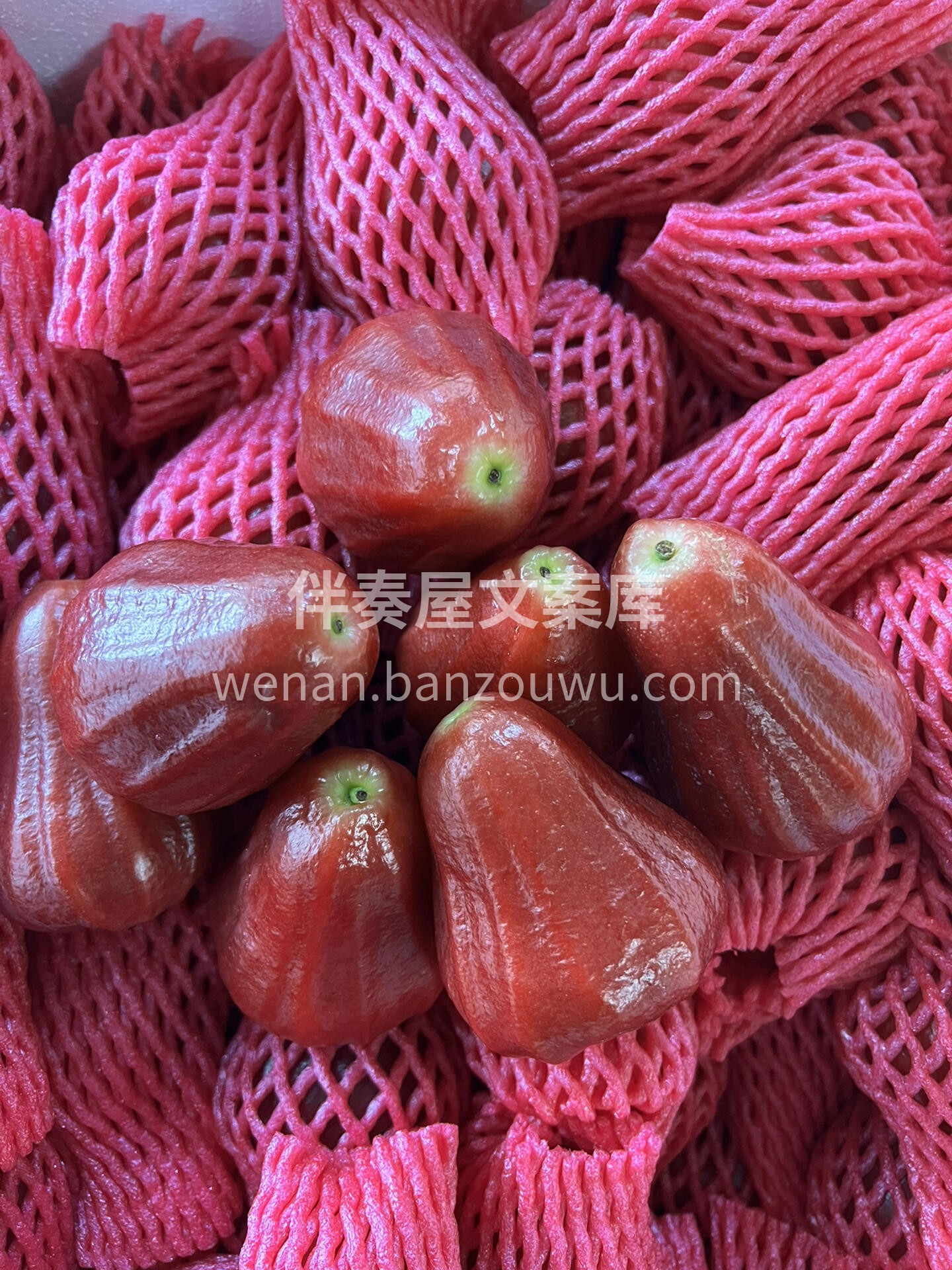 💧 莲雾！ 💦 台湾黑金刚，水分炸弹 💣 配图3