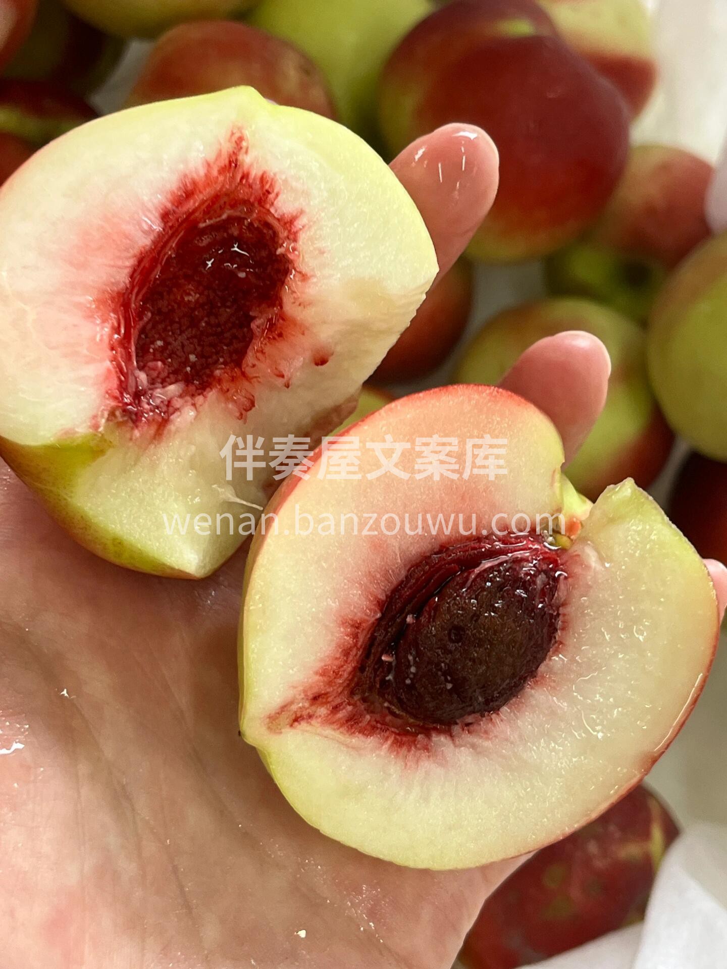 🌈💛『珍珠枣桃』 喜欢😘吃桃子🍑的别错过 配图3