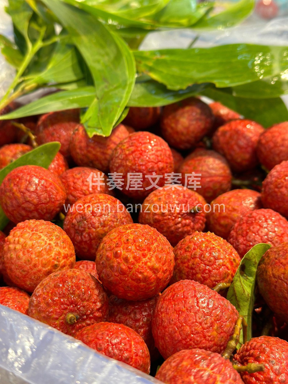 💚红花荔枝～ 这个名字是因为它壳很红嘛😍 配图3
