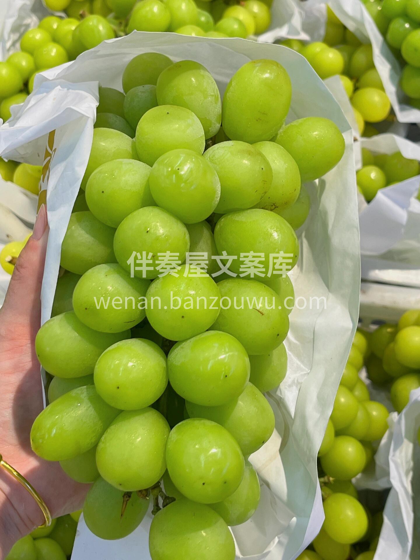 绿油油的夏天💚甜蜜蜜的晴王 不腻甜，不高 配图2