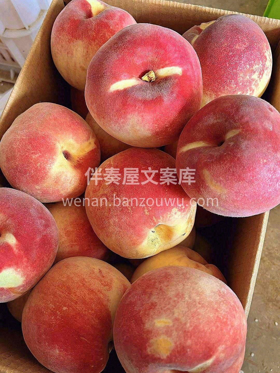 金秋蜜桃🍑，给您夏天都无法得到甜蜜口感🍨 配图3