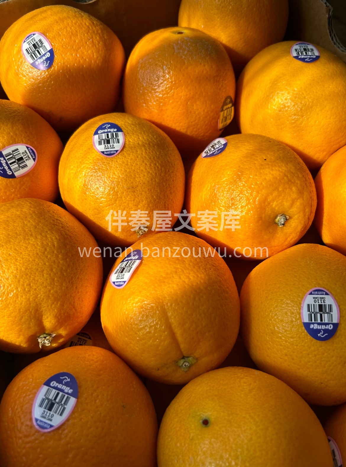 🍊澳橙到货👏👏 每天怎么能缺了这抹鲜活维 配图3